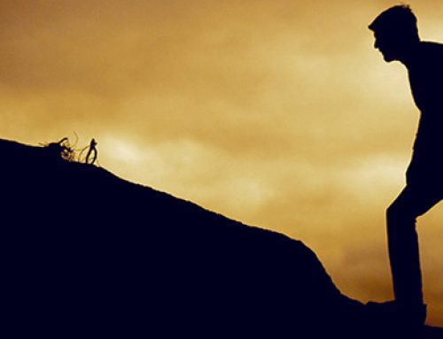 Personal Lines Corner